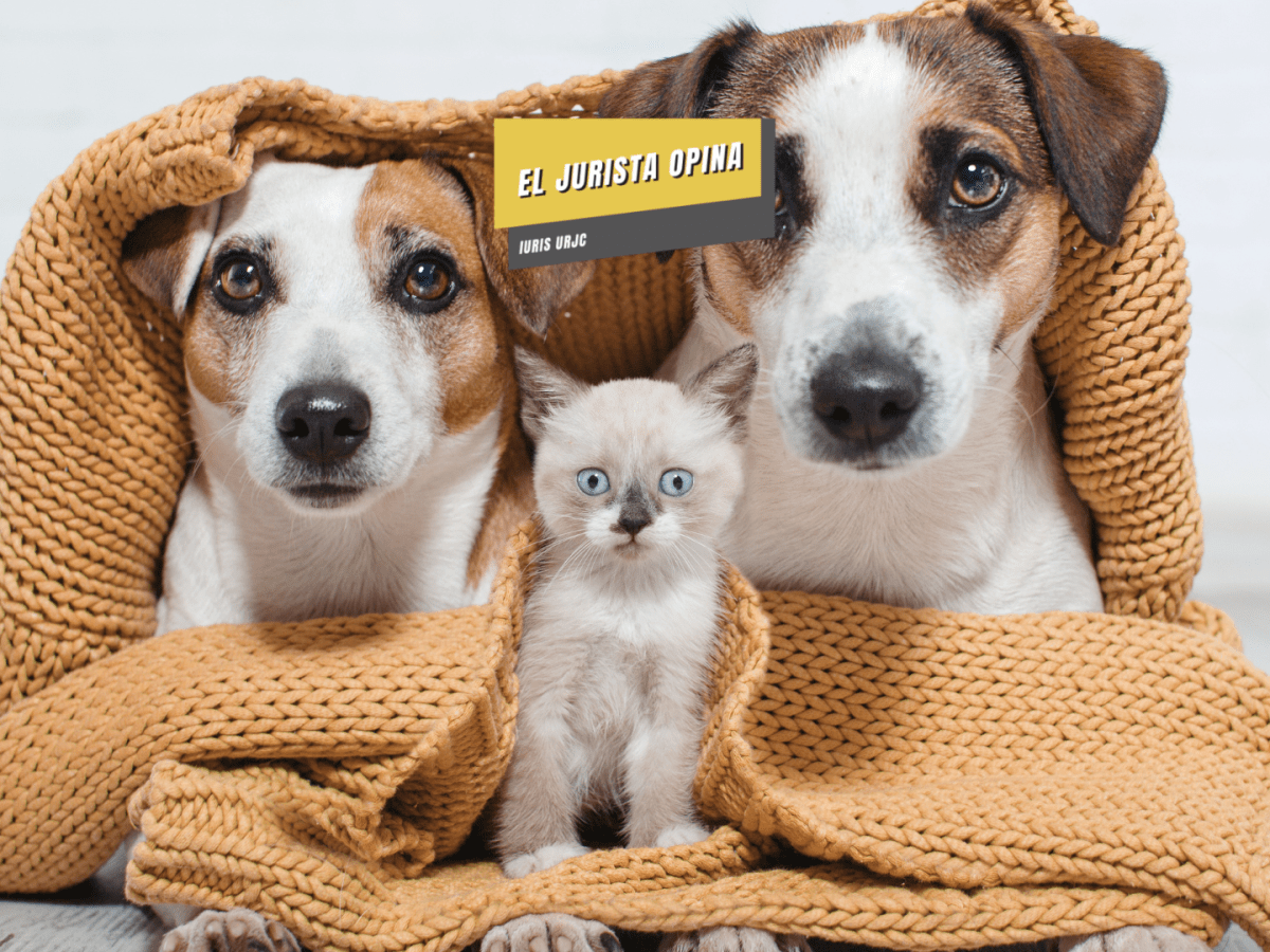 “Comentario a la Ley 7/2023, de 28 de marzo, de protección de los derechos y el bienestar de los animales”, por Fernando Fanego Castillo